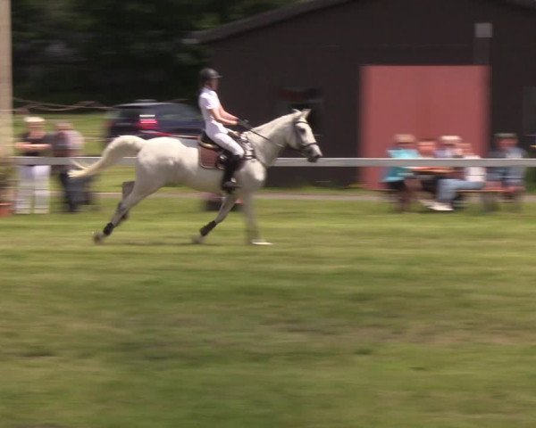 Reitturnier Rendsburg 2022