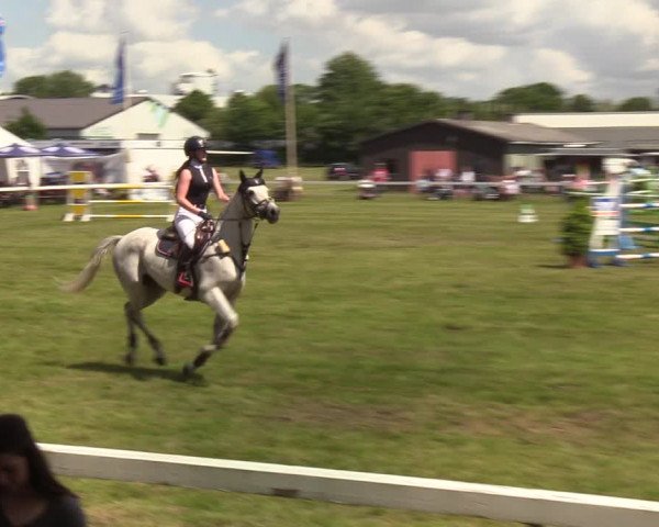 Reitturnier Rendsburg 2022