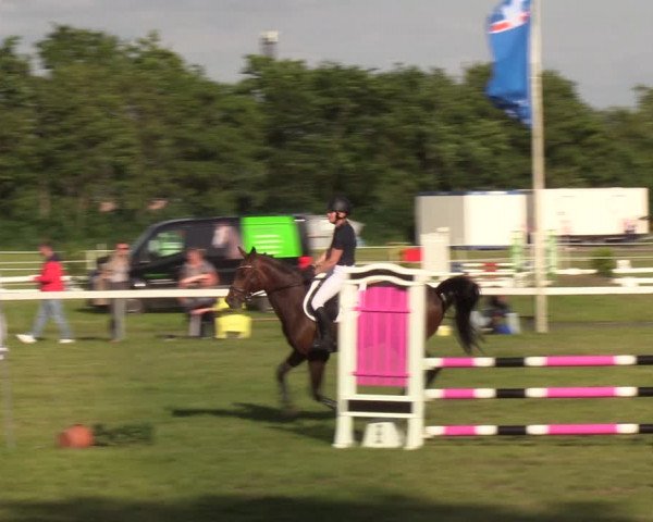 Reitturnier Rendsburg 2022