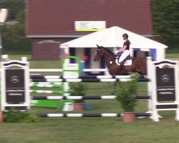 Reitturnier Rendsburg 2022