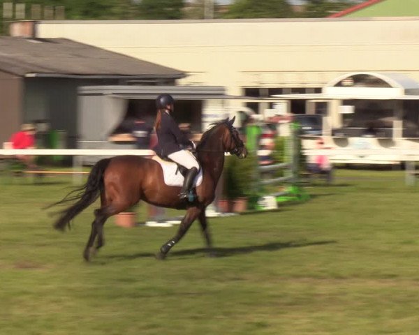 Reitturnier Rendsburg 2022