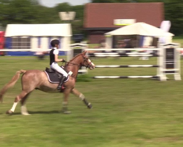 Reitturnier Rendsburg 2022