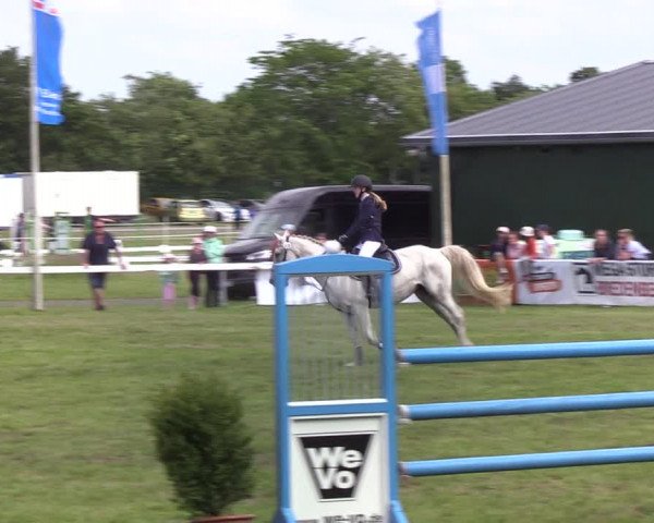 Reitturnier Rendsburg 2022