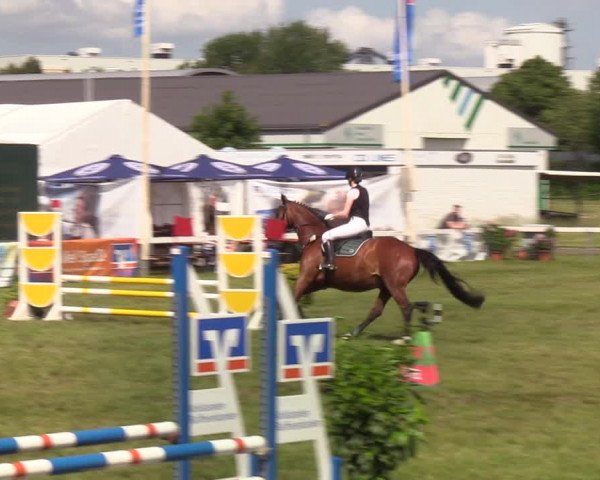 Reitturnier Rendsburg 2022
