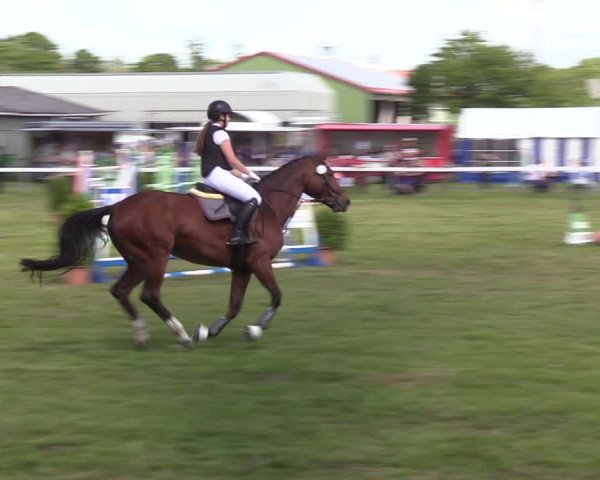 Reitturnier Rendsburg 2022
