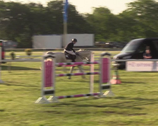 Reitturnier Rendsburg 2022