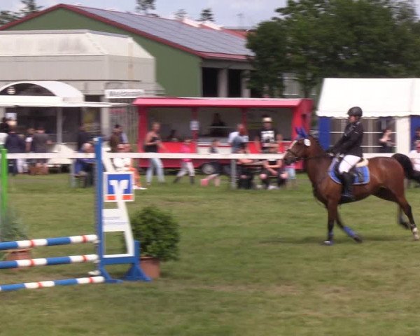 Reitturnier Rendsburg 2022