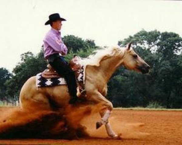 stallion Jacs Great Spirit (Quarter Horse, 1991, from Hollywood Jac 86)