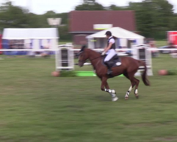 Reitturnier Rendsburg 2022