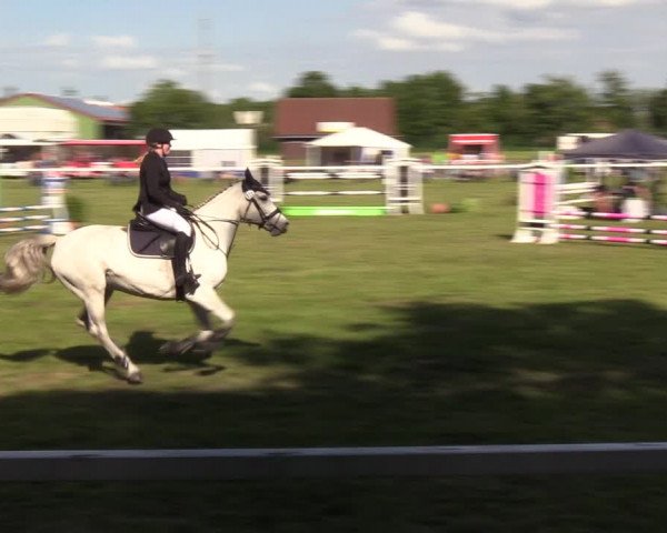 Reitturnier Rendsburg 2022