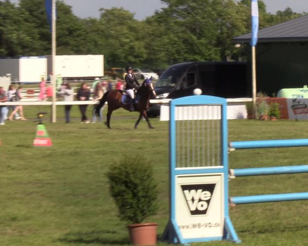 Reitturnier Rendsburg 2022