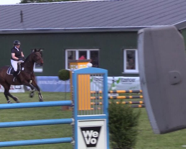 Reitturnier Rendsburg 2022