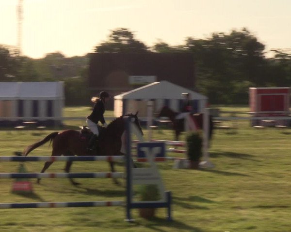 Reitturnier Rendsburg 2022