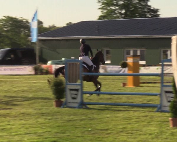 Reitturnier Rendsburg 2022
