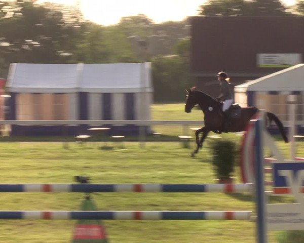 Reitturnier Rendsburg 2022