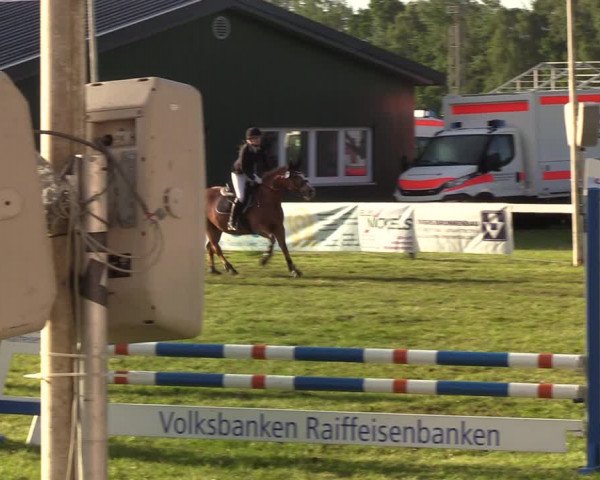 Reitturnier Rendsburg 2022