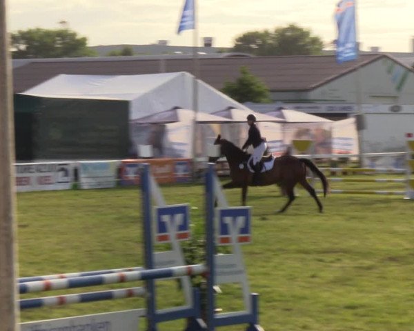 Reitturnier Rendsburg 2022