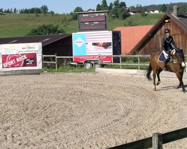 Reitturnier Ruswil 2022