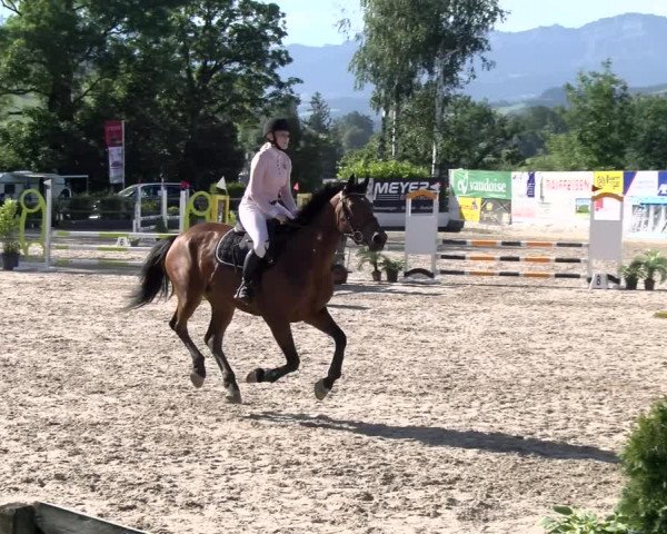 Reitturnier Ruswil 2022