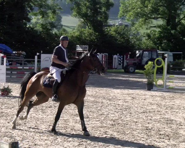 Reitturnier Ruswil 2022