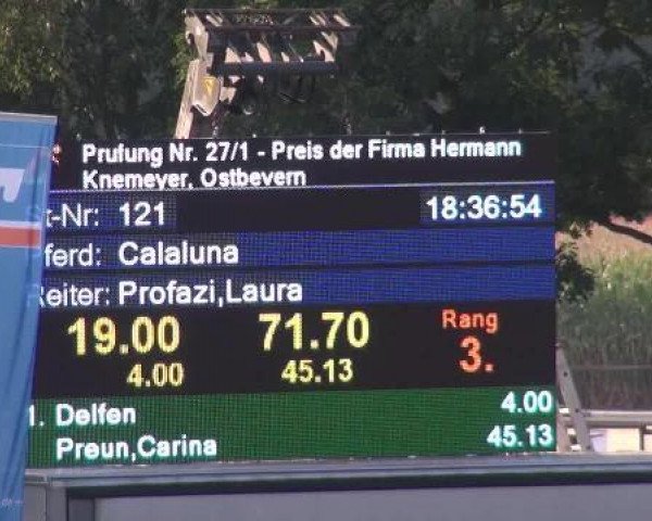 jumper Calaluna (Holsteiner, 2004, from Colman)