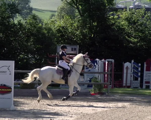 Reitturnier Ruswil 2022