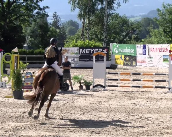 Reitturnier Ruswil 2022