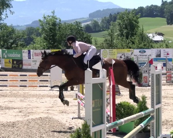 Reitturnier Ruswil 2022