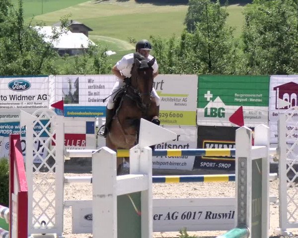 Reitturnier Ruswil 2022