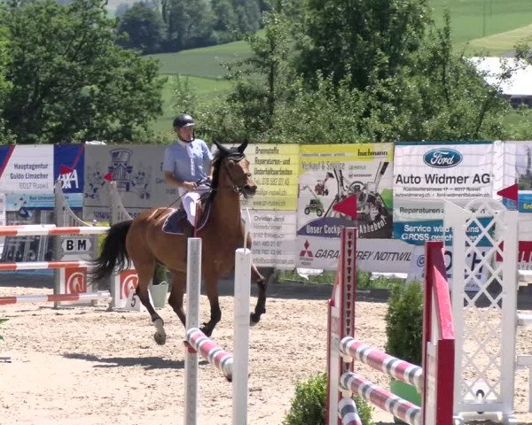 Reitturnier Ruswil 2022