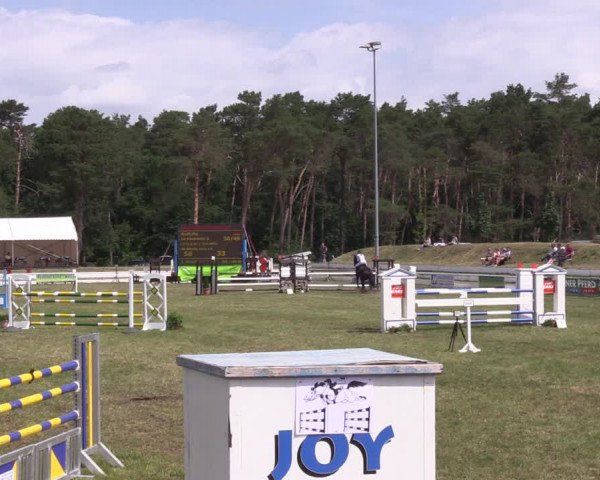 Reitturnier Wörmlitz 2022