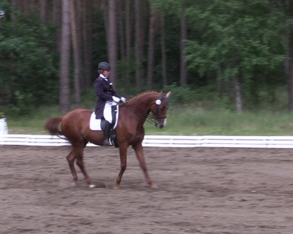 Reitturnier Wörmlitz 2022