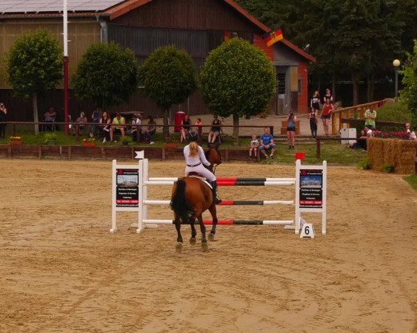 Reitturnier Schönfeld 2022
