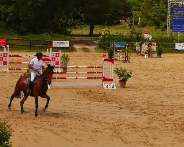 Reitturnier Schönfeld 2022