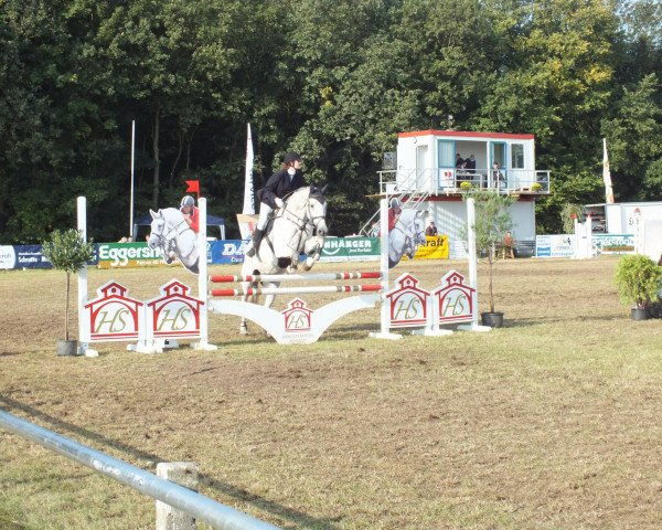 Springpferd Lucky 699 (Holsteiner, 1996, von Levantos II)