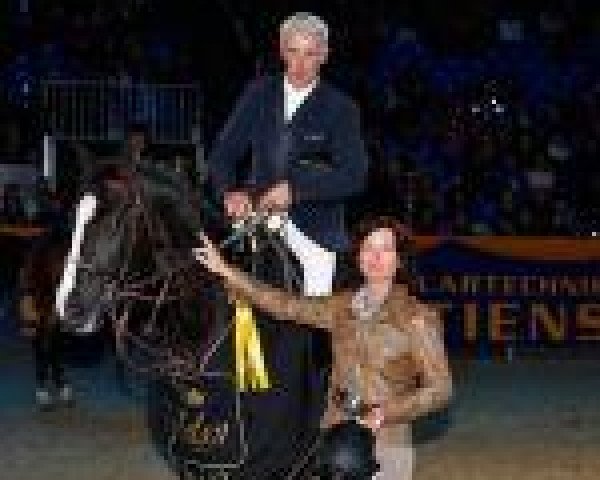 Springpferd Castle Forbes Coleen (Oldenburger, 2004, von Couleur Rubin)