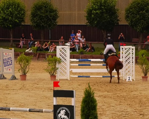 Reitturnier Schönfeld 2022