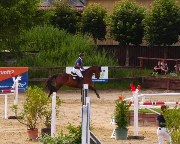 Reitturnier Schönfeld 2022