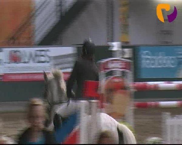 Zuchtstute Cool little Coco (Holsteiner, 2001, von Counter)
