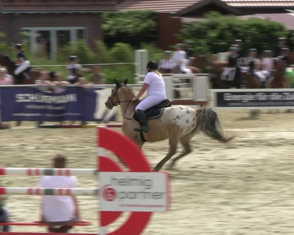 Reitturnier Ascheberg 2022