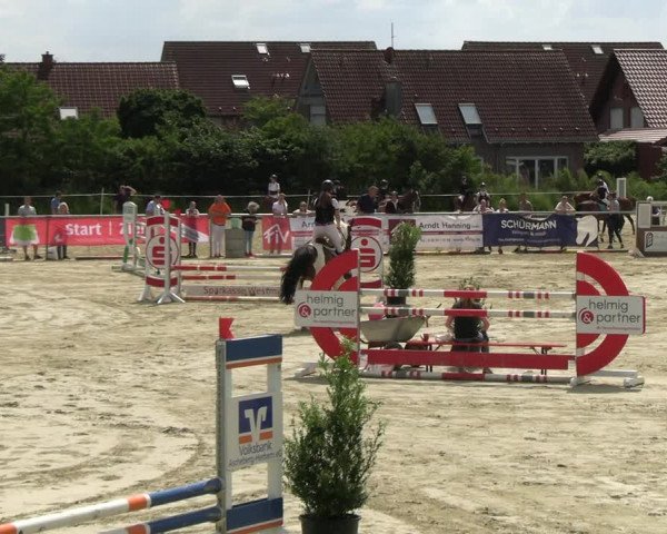Reitturnier Ascheberg 2022