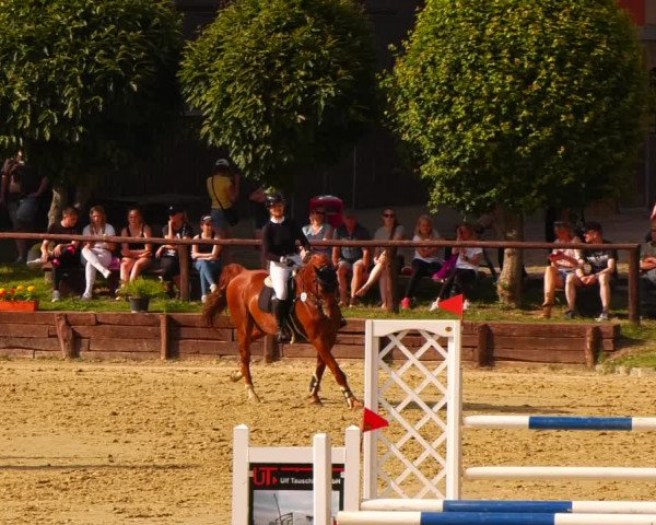 Reitturnier Schönfeld 2022