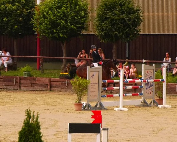 Reitturnier Schönfeld 2022