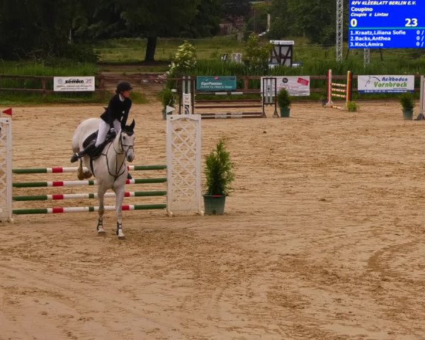 Reitturnier Schönfeld 2022
