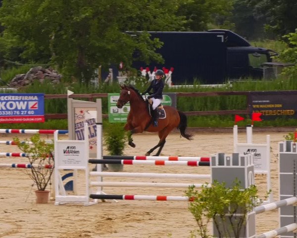 Reitturnier Schönfeld 2022
