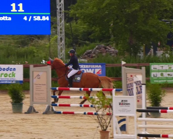 Reitturnier Schönfeld 2022