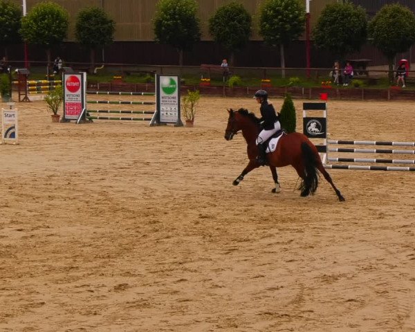 Reitturnier Schönfeld 2022