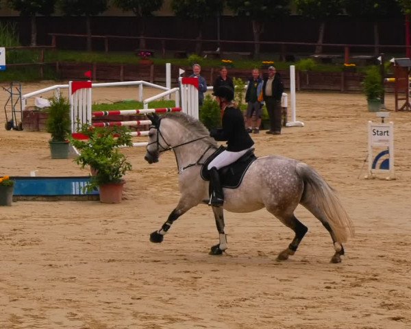 Reitturnier Schönfeld 2022