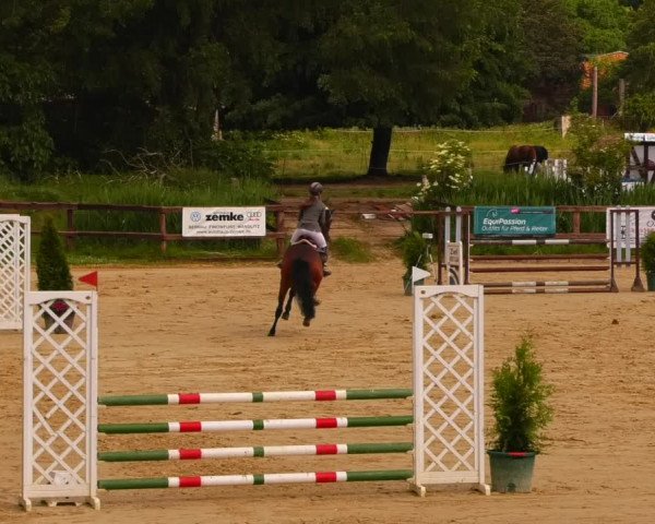 Reitturnier Schönfeld 2022