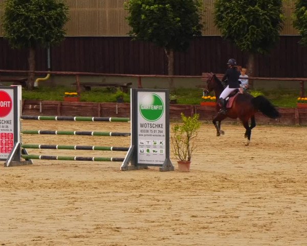 Reitturnier Schönfeld 2022
